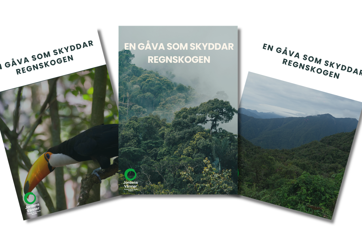 En gåva som skyddar regnskog